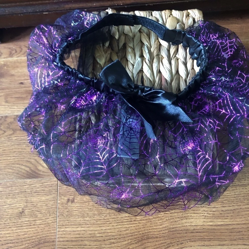 Martha Stewart purple Halloween witch costume for pets in size L/XL